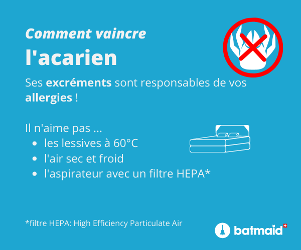 comment-vaincre-les-acariens