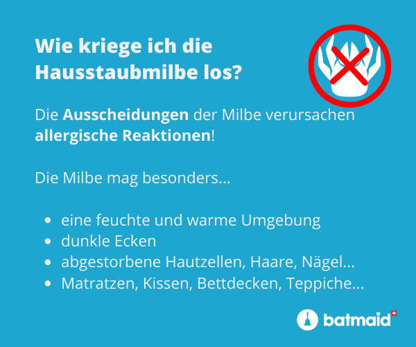 milbe-loswerden